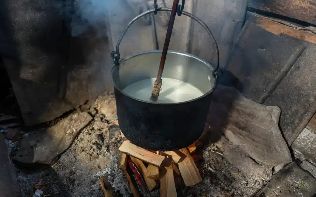 Raza Merina - elaboración de queso