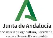 Junta de Andalucía logotipo